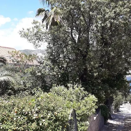 Guest house The Beautiful Position In Zaton Veliki Zaton (Dubrovnik-Neretva)