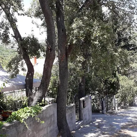The Beautiful Position In Veliki Maison d'hôtes Zaton (Dubrovnik-Neretva)