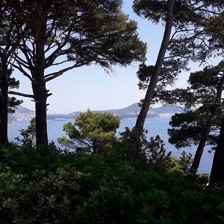 The Beautiful Position In Veliki Maison d'hôtes