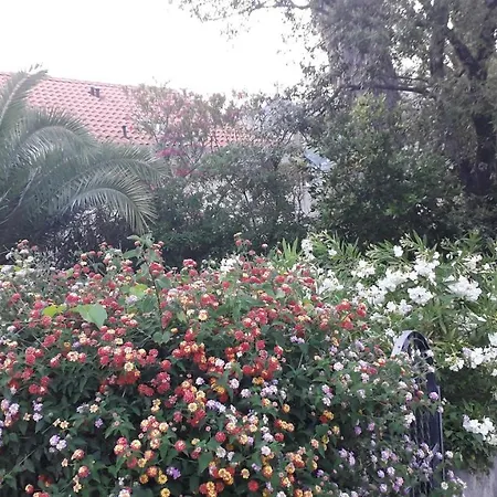 Guest house The Beautiful Position In Zaton Veliki Zaton (Dubrovnik-Neretva)