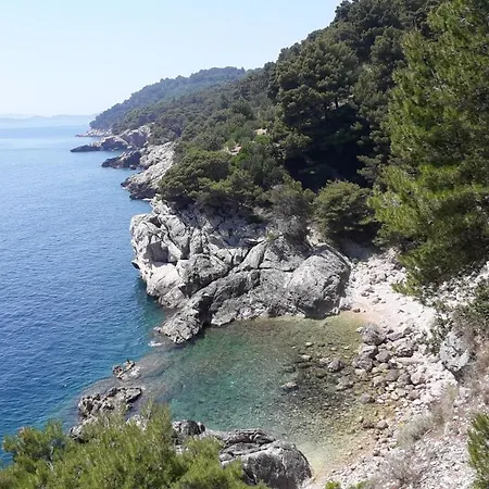 The Beautiful Position In Veliki Maison d'hôtes