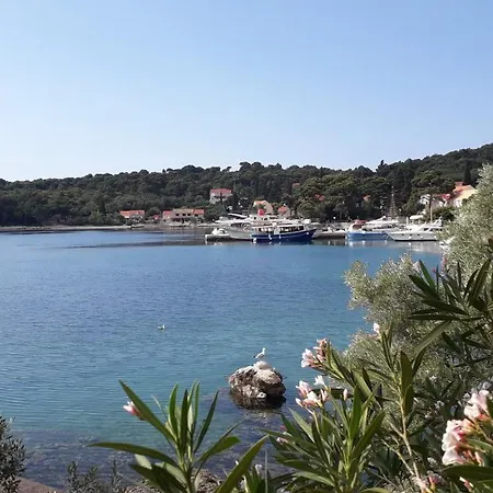 The Beautiful Position In Veliki * Zaton (Dubrovnik-Neretva)