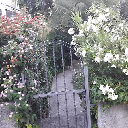 The Beautiful Position In Veliki Maison d'hôtes Zaton (Dubrovnik-Neretva)