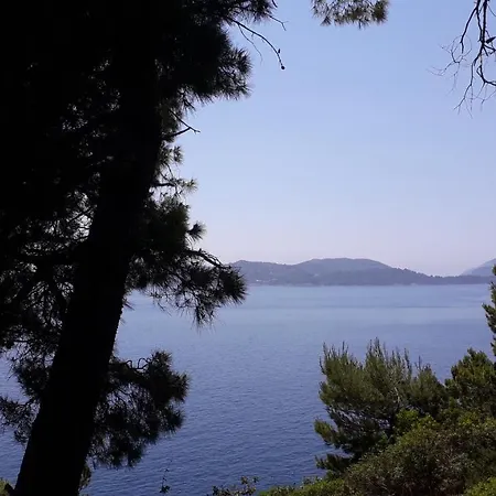 The Beautiful Position In Veliki Maison d'hôtes Zaton (Dubrovnik-Neretva)