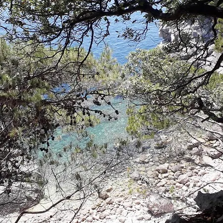 The Beautiful Position In Zaton Veliki * Zaton (Dubrovnik-Neretva)